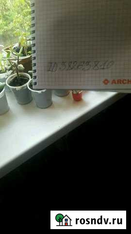 1-комнатная квартира, 38 м², 1/3 эт. в аренду посуточно в Волоколамске Волоколамск - изображение 1