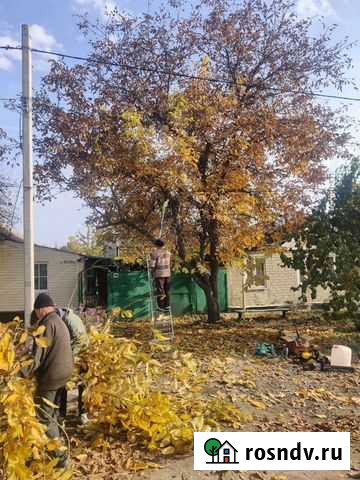 Спил деревьев,обрезка деревьев в саду,опрыскивание Красный Сулин - изображение 1