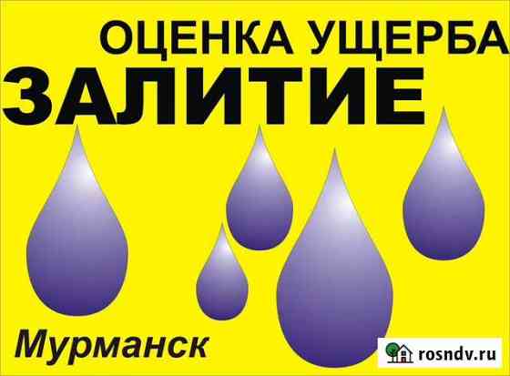 Оценка стоимости ущерба. Оценка стоимости товара Мурманск
