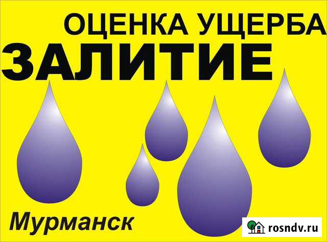 Оценка стоимости ущерба. Оценка стоимости товара Мурманск - изображение 1