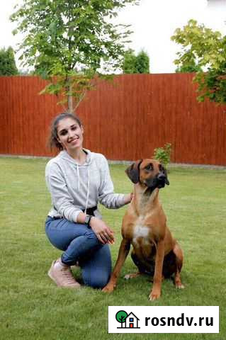 Услуги Хендлера Пушкино - изображение 1