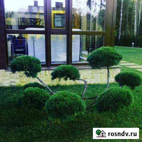 Ландшафтный дизайн. От проекта до воплощения Кашира