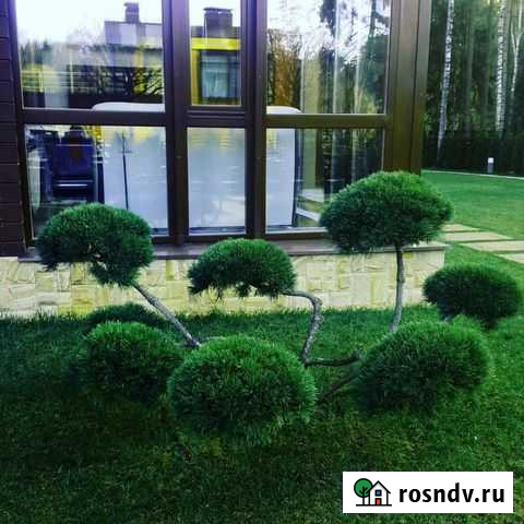 Ландшафтный дизайн. От проекта до воплощения Кашира - изображение 1