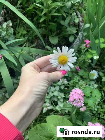 Калькулятор R-keeper, iiko в ресторан, кафе Бийск - изображение 1