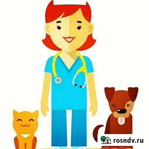 Вызов врача ветеринара на дом Горно-Алтайск - изображение 1