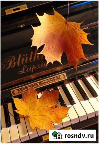 Уроки фортепиано Евпатория - изображение 1