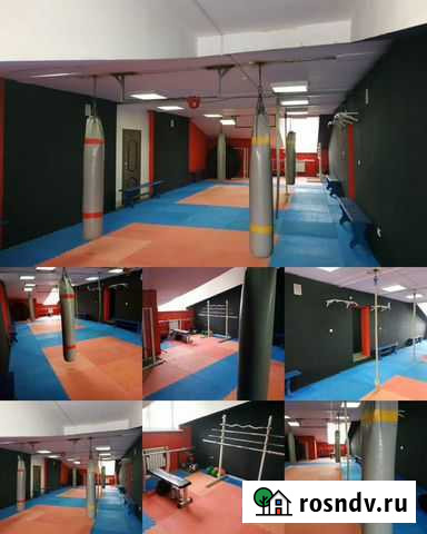 Единоборства Барнаул - изображение 1