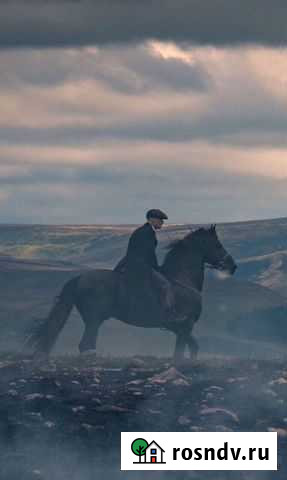 Мастер на час Мегион - изображение 1