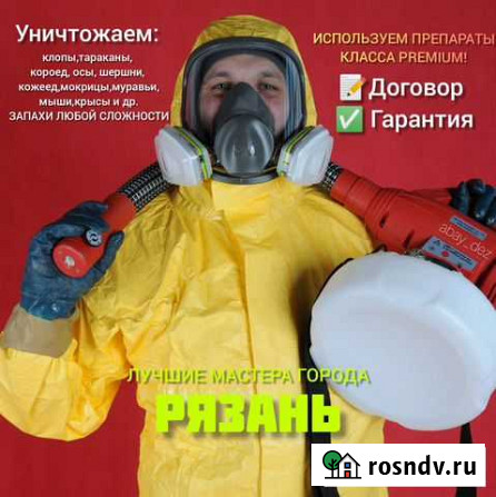 Уничтожение клопов, тараканов, короеда, шершней Рязань - изображение 1
