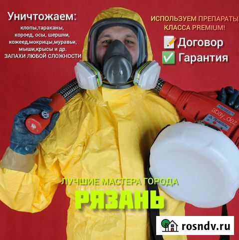 Уничтожение клопов, тараканов, короеда, шершней Рязань - изображение 1