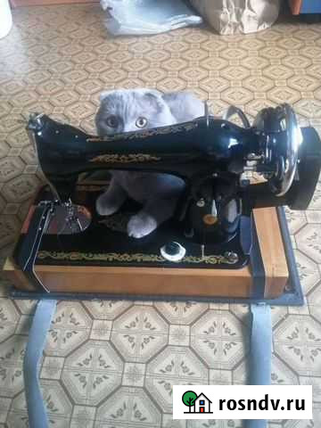 Швейная машина Подольск Кировск - изображение 1