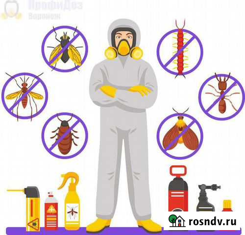 Дезинфекция, дезинсекция, дератизация Нижний Тагил - изображение 1