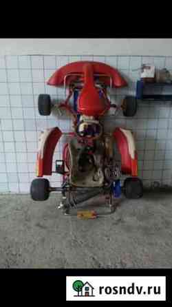 Easykart 125 Birel Боровск