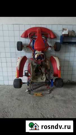 Easykart 125 Birel Боровск - изображение 1