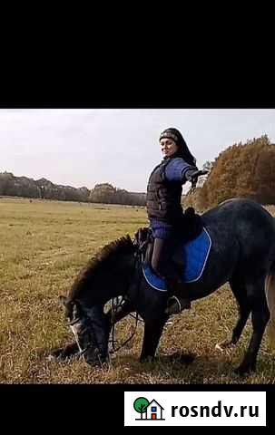 Катание на лошади Тула - изображение 1