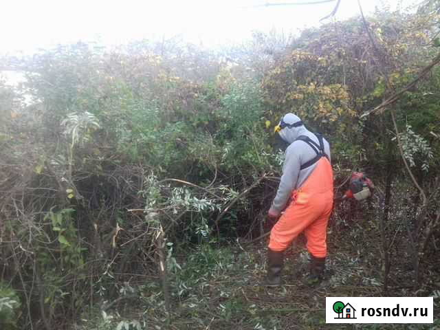 Расчистка участков Сочи - изображение 1