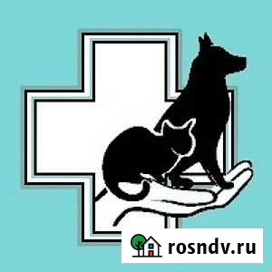 Ветеринарная помощь на дому Оренбург - изображение 1