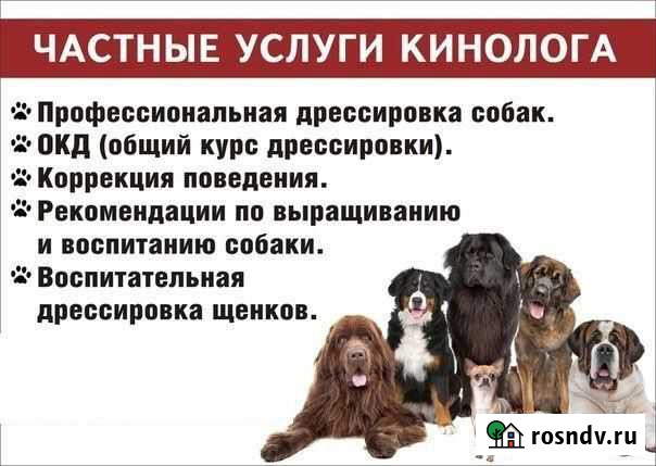 Услуги кинолога Сосногорск - изображение 1