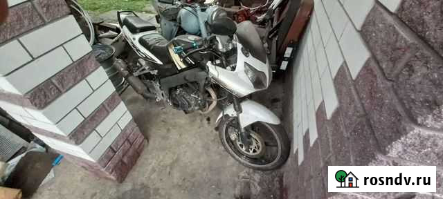 Продаю рейсер скайвей 200 Барнаул - изображение 1