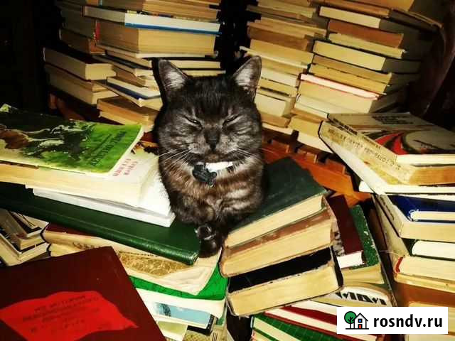 Прием и вывоз макулатуры Череповец - изображение 1