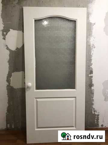 Дверь Менделеевск - изображение 1