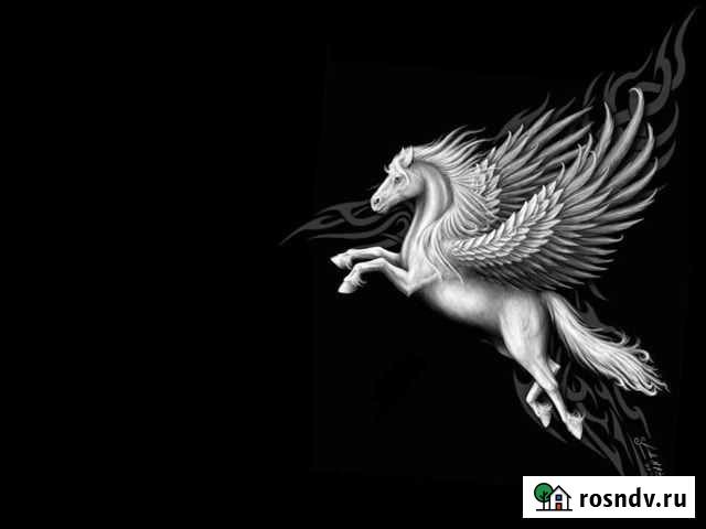 Курьерская доставка по Иркутску и пригороду Иркутск - изображение 1