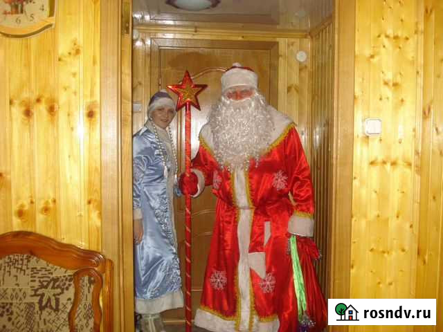 Дед Мороз и Снегурочка Ливны - изображение 1
