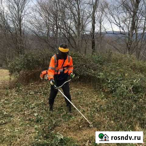 Уборка расчистка участка Сочи - изображение 1