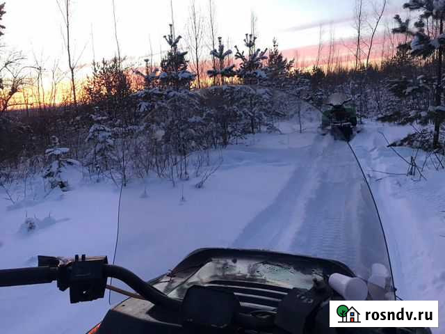 Продам рысь Бокситогорск - изображение 1