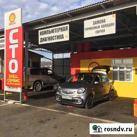 Бесплатная замена масла. Оригинальные масла Shell Сочи - изображение 1