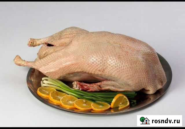 Гуси Казань - изображение 1