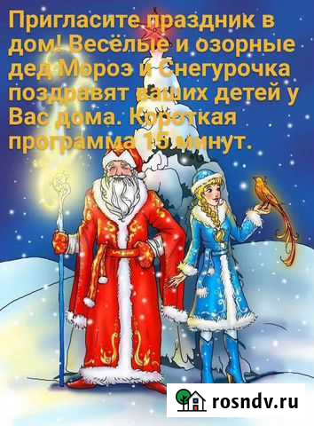 Дед Мороз и Снегурочка Петропавловск-Камчатский - изображение 1