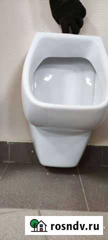 Писсуар Гала Федоровский - изображение 1