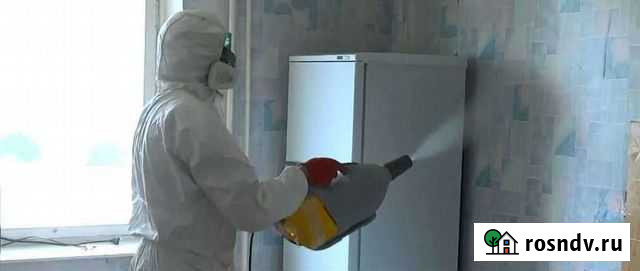 Обработка от Тараканов Клопов Грызунов Владимир - изображение 1