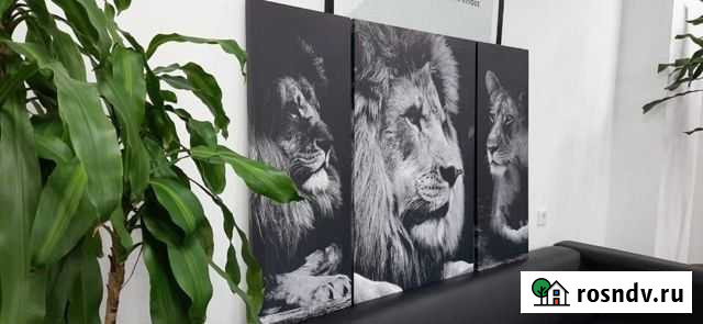 Печать на холсте Ростов-на-Дону - изображение 1