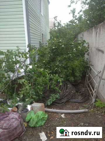 Спил деревьев и вывоз Абакан - изображение 1