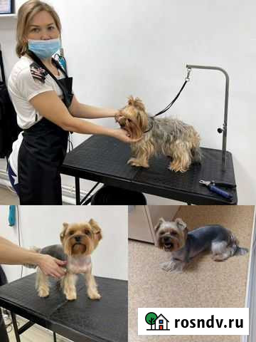 Стрижка собак стрижка кошек Груминг Омск - изображение 1