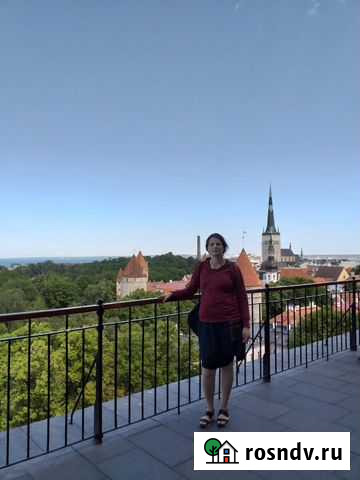 Репетитор по бухгалтерскому учету Санкт-Петербург - изображение 1