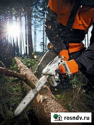 Спил деревьев Владикавказ - изображение 1