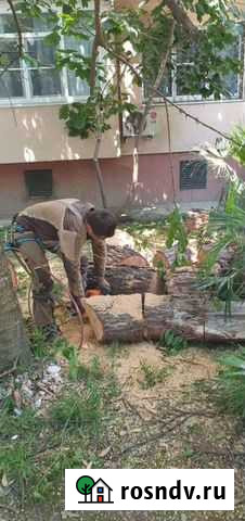 Установка заборов,расчистка участков г.Сочи Сочи - изображение 1