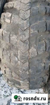 Омскшина 530/100 R23 110 Нефтеюганск - изображение 1