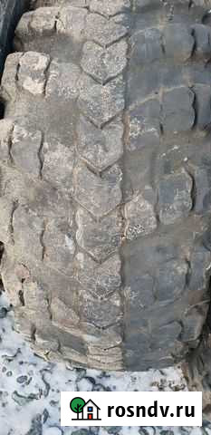 Омскшина 530/100 R23 110 Нефтеюганск - изображение 1