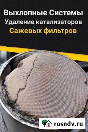 Удаление катализатора,сажевых фильтров Саранск - изображение 1