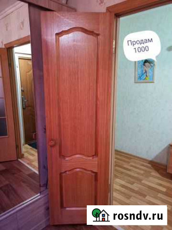 Дверь Дудинка - изображение 1