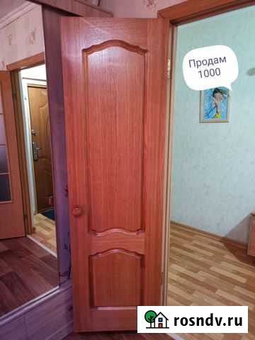 Дверь Дудинка - изображение 1