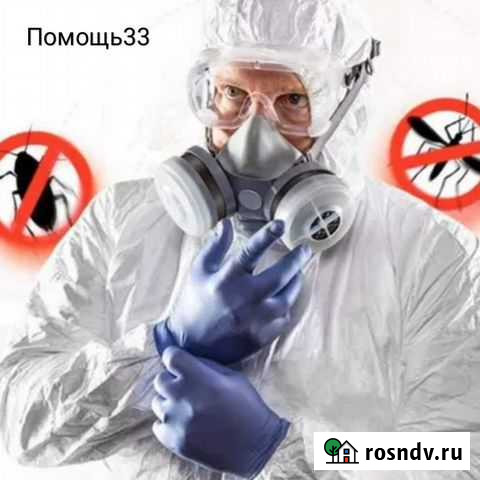Дезинсекция, дезинфекция, дератизация Вязники - изображение 1