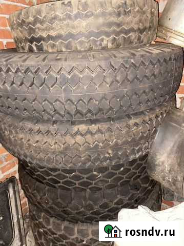 Шины маз новые 11r20 Сергиев Посад - изображение 1