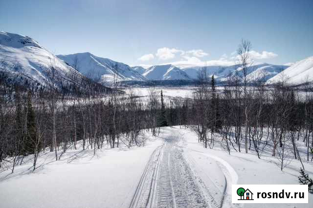 Поездки на снегоходах Кировск - изображение 1