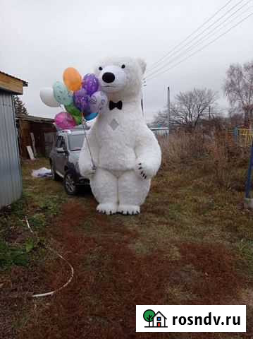 Большой белый медведь на любой праздник Саранск - изображение 1
