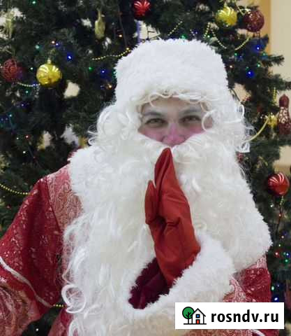 Вызов Деда Мороза и Снегурочки Саратов - изображение 1